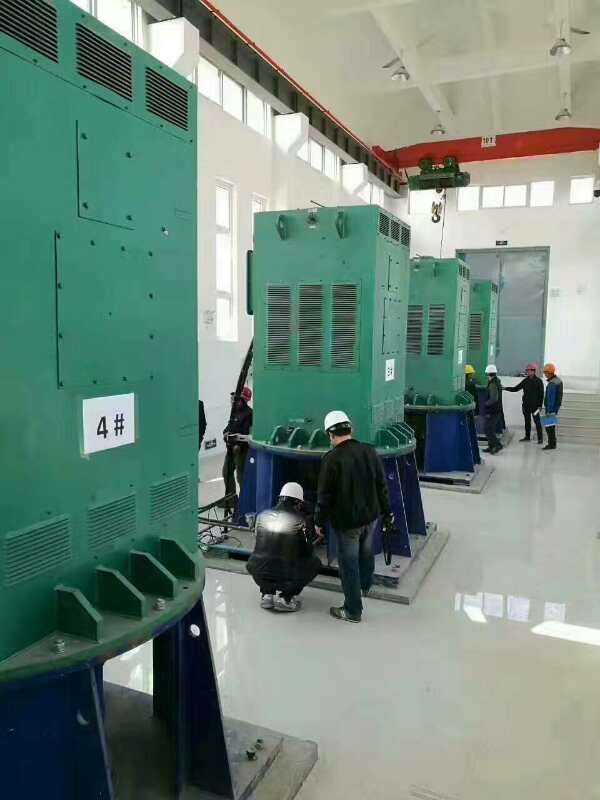 武城某污水处理厂使用我厂的立式高压电机安装现场