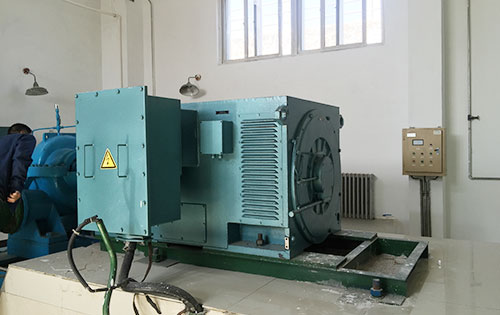 武城某水电站工程主水泵使用我公司高压电机